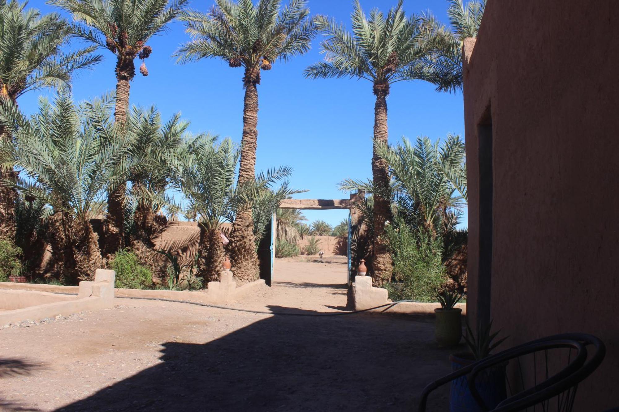 Kasbah Desert Camp M'Hamid El Ghizlane Exterior foto