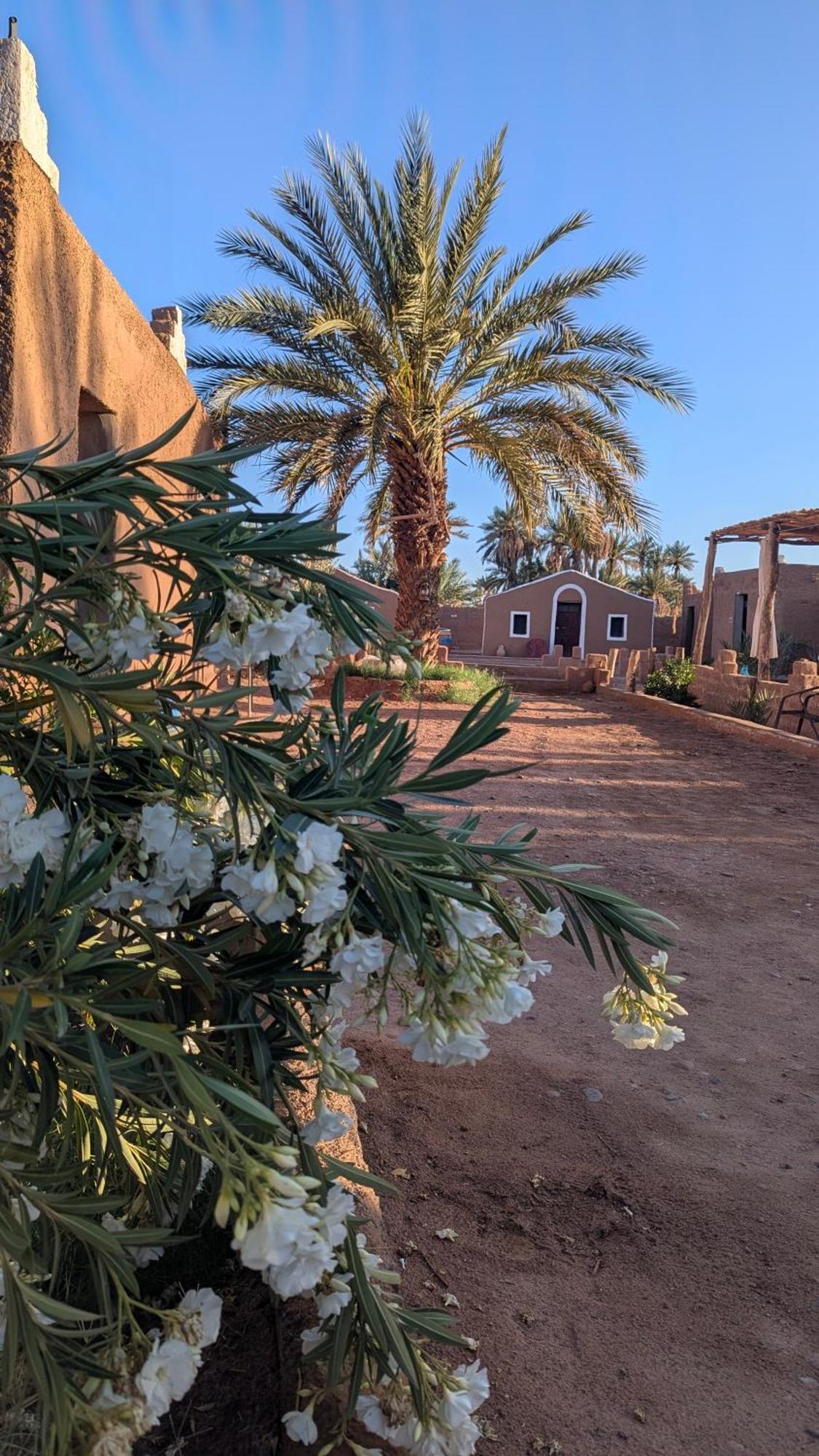 Kasbah Desert Camp M'Hamid El Ghizlane Exterior foto